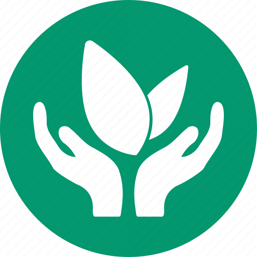 Eco, ecology, startup, business project, environment, health, plant icon - Download on Iconfinder