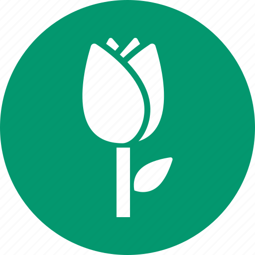 Tulip, greenery, plant, beauty, flower button, nature, spring icon - Download on Iconfinder