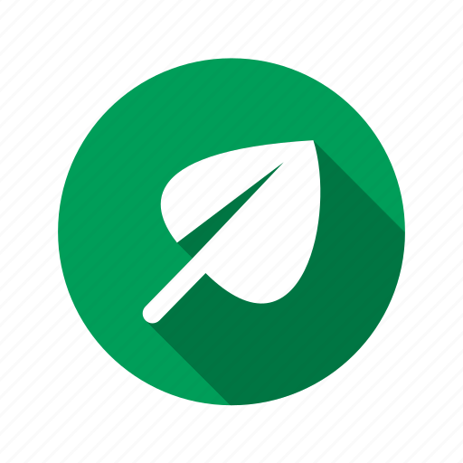 Bio, plant, flower, leaf, nature, eco, energy icon - Download on Iconfinder