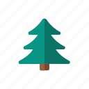 pine, tree