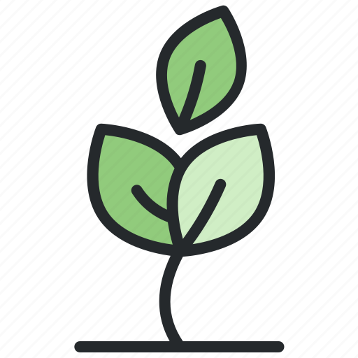 Ecology, nature, plant, tree icon - Download on Iconfinder