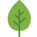 eco, ecology, energy, leaf, nature, plant, tree
