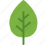 eco, ecology, energy, leaf, nature, plant, tree 