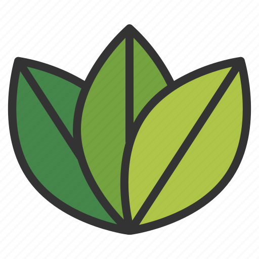 Plant, nature, leaves, leaf, ecology, environment icon - Download on Iconfinder