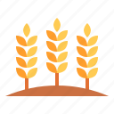 wheat, beer, grain, plant, organic, nature, ecology and environment