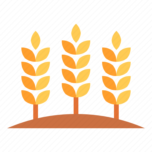 Wheat, beer, grain, plant, organic, nature, ecology and environment icon - Download on Iconfinder