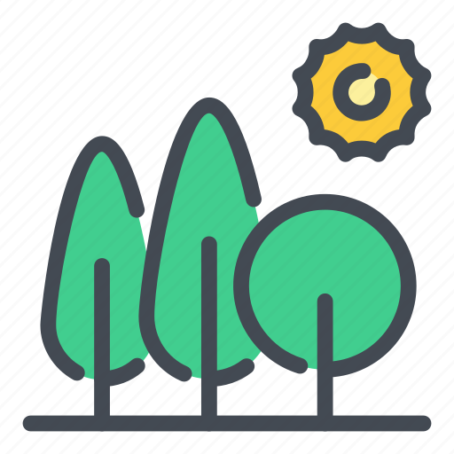 Tree, plant, forest, nature, sun, ecology, environment icon - Download on Iconfinder