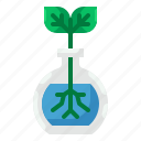 flask, leaf, ecology, test, tube