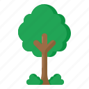 tree, ecology, green, environment, eco