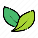 leaf, eco, nature, plant