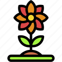 flower, growth, farming, and, gardening, sprout, plant