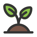 plant, grow, leaf, nature, ecology