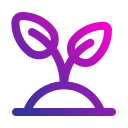 plant, grow, leaf, nature, ecology