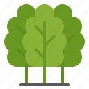 eco, environment, green, trees