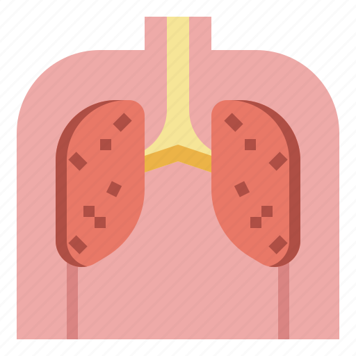 Lungs, breathe, anatomy, pollution, respiratory, organ, health icon - Download on Iconfinder