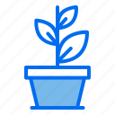 plant, growth, ecology, green, nature