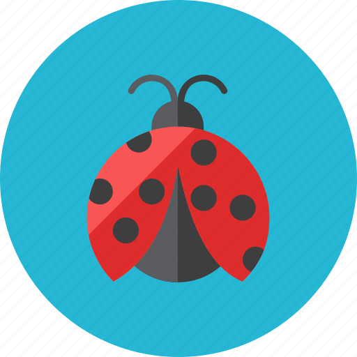Ladybug icon - Download on Iconfinder on Iconfinder