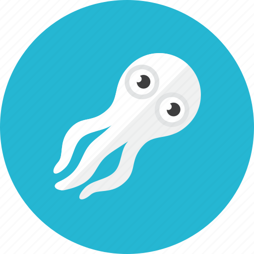 Squid icon - Download on Iconfinder on Iconfinder