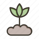 eco sprout, ecology, nature, plant, leaf