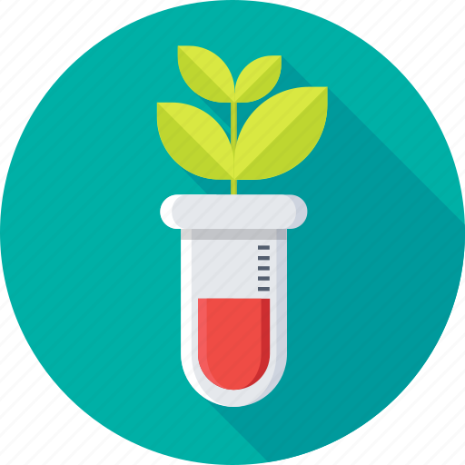 Botany experiment, chemistry, experiment, lab research, laboratory icon - Download on Iconfinder
