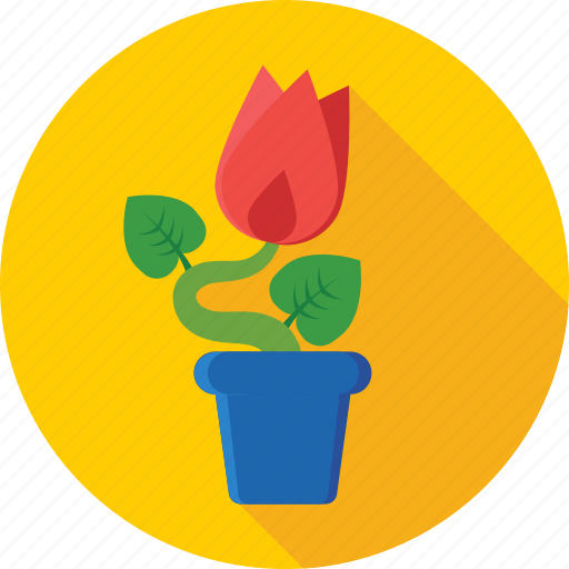 Nature, nature inspiration, plant, pot plant, small plant icon - Download on Iconfinder