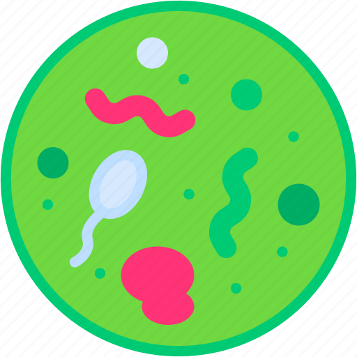 Bacteria, disease, virus, infection, learn, education icon - Download on Iconfinder
