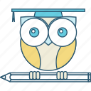 education, knowledge, learning, owl, school, smart, solution