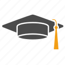 education, graduation, hat, student, school, study, university