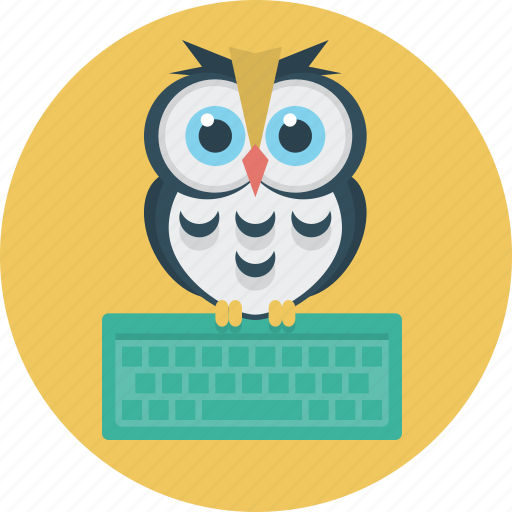 Education, keyboard, owl, learning icon - Download on Iconfinder