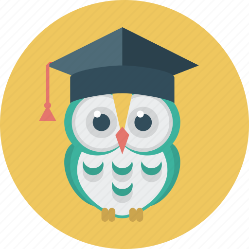 Education, owl, student, wise, student cap icon - Download on Iconfinder