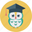 education, owl, student, wise, student cap 