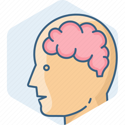 Brain, human, head, man, mind, person icon - Download on Iconfinder