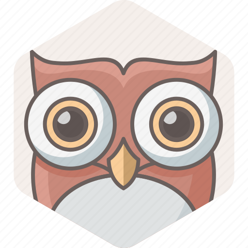 Owl, animal, education, smartclass, teacher, wild, zoo icon - Download on Iconfinder