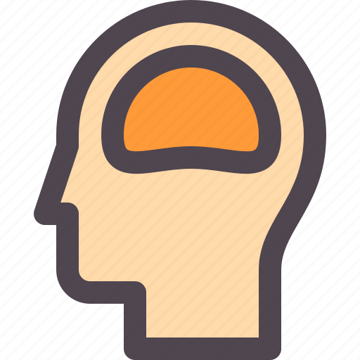 Brain, head, human, organ icon - Download on Iconfinder