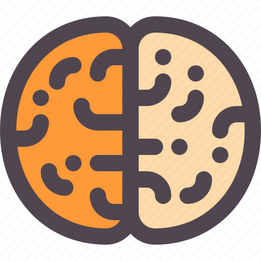 Brain, idea, knowladge, think icon - Download on Iconfinder
