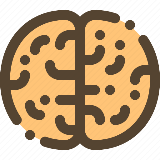 Brain, idea, knowladge, think icon - Download on Iconfinder