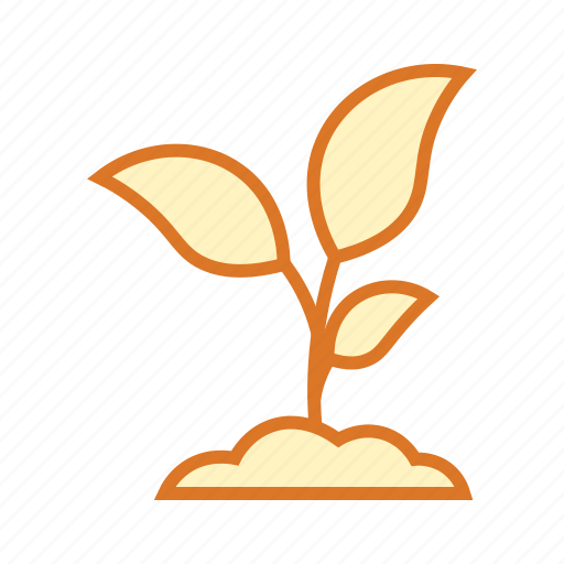 Botany, education, nature, plant, science, young plant icon - Download on Iconfinder