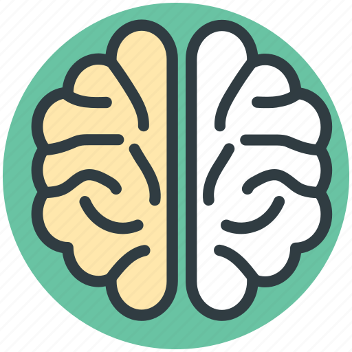 Brain, cranium, human head, nervous system, neurology icon - Download on Iconfinder