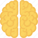 brain, learning, think icon
