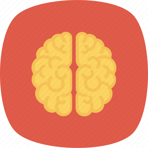 Brain, learning, think icon icon - Download on Iconfinder