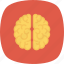 brain, learning, think icon 