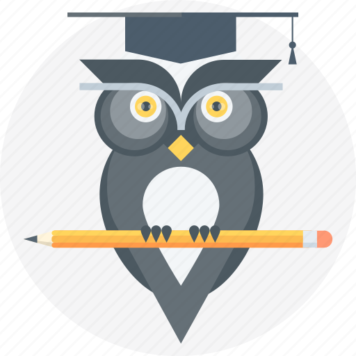 Education, graduation, owl, pen, school icon - Download on Iconfinder