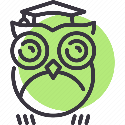 Class, knowledge, learning, owl, school, smart, teacher icon - Download on Iconfinder