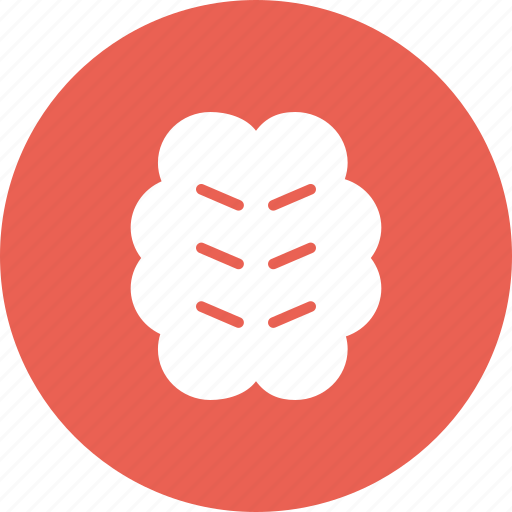 Brain, human, idea, invention, knowledge, smart, think icon - Download on Iconfinder