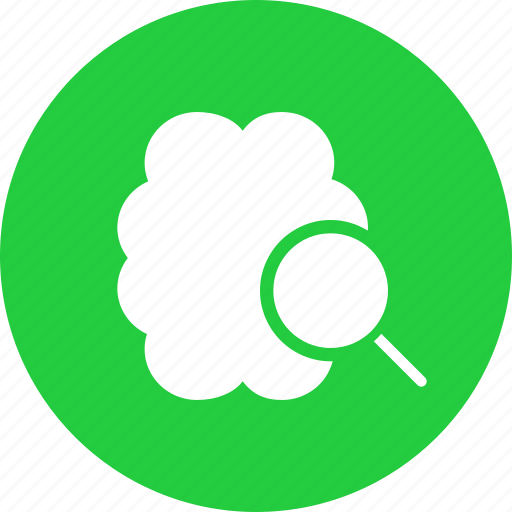 Brain, examine, find, idea, inspect, knowledge, search icon - Download on Iconfinder