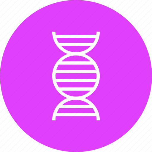 Dna, forensic, gene, helix, lab, structure, test icon - Download on Iconfinder