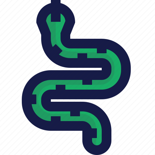 Animal, cobra, egypt, egyptian, nature, reptile, snake icon - Download on Iconfinder