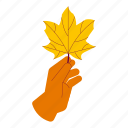 holding dry maple leaf, dry maple leaf, holding, hand gesture, maple, leaf, autumn season, fall, october 