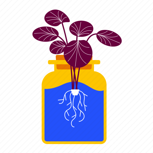 Hydroponic plant, cultivation, jar, water, aquaponic, soilless, gardening illustration - Download on Iconfinder