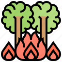 burn, catastrophic, disaster, forest, wildfire